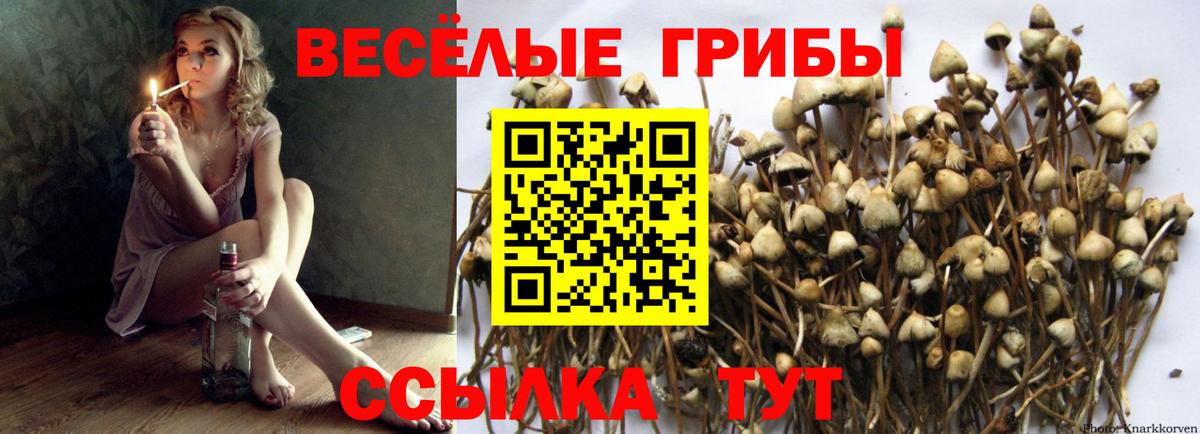 Балашов  Галлюциногенные грибы Psilocybine cubensis  Галлюциногенные грибы MAGIC MUSHROOMS  Вход с VPN 